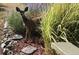 Close-up of lush landscaping, including stone accents, adding natural beauty to the property at 23846 Genesee Village Rd, Golden, CO 80401