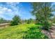 Picturesque backyard with lush green lawn, mature trees, and a charming wooden fence at 16500 Hitching Post Cir, Parker, CO 80134