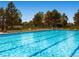 A pristine swimming pool with lounge chairs and landscaped surroundings for community enjoyment at 16500 Hitching Post Cir, Parker, CO 80134