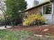 Charming home exterior with mature trees, lush landscaping, and a partially vine-covered facade at 2261 W Briarwood Ave, Littleton, CO 80120