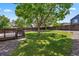 Private fenced backyard with mature trees, a wooden deck, and a lush green lawn for outdoor enjoyment at 9564 Cordova Dr, Highlands Ranch, CO 80130