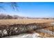 Backyard view overlooking an open field, partially covered in snow at 2451 S Fenton Dr, Lakewood, CO 80227