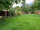 Expansive backyard featuring lush green grass, a wooden fence, and mature landscaping and greenery at 6705 Youngfield Ct, Arvada, CO 80004