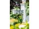 Close-up of the home's mailbox with clear address numbers, surrounded by lush greenery at 2528 Concord Cir, Lafayette, CO 80026