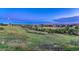 A sprawling green field extending to the horizon, bordered by a rustic wooden fence and lush trees at 1838 Mountain Daisy Ct, Highlands Ranch, CO 80129
