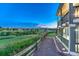 Picture of a landscaped backyard featuring a well-maintained gravel path, lush green grass, and a wooden fence at 1838 Mountain Daisy Ct, Highlands Ranch, CO 80129