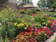 Colorful landscaped garden featuring a variety of blooming flowers and plants at 650 S Clinton St # 11B, Denver, CO 80247
