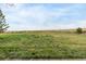 Open backyard with clear views of the open space, and blue skies at 3578 Tranquility Trl, Castle Rock, CO 80109
