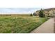 View of exterior with lush green backyard and unobstructed views of open space at 3578 Tranquility Trl, Castle Rock, CO 80109