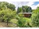 Secluded backyard with mature trees, green grass, and wooden exterior of the house at 730 Crescent Ln, Lakewood, CO 80214
