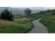 Scenic walking path surrounded by lush green grass and trees, with mountains visible in the distance at 1101 Ridgeview Cir, Broomfield, CO 80020