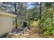 Exterior view of a home's yard and a shed surrounded by lush greenery and tall trees at 55 Two Moon Rd, Idaho Springs, CO 80452