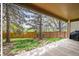 View of backyard with mature trees and a wood privacy fence from covered patio at 1896 S Marshall Cir, Lakewood, CO 80232
