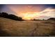 Land with trees at sunset features walking path with beautiful orange and yellow sky at 13358 Blue Amber Ct, Parker, CO 80134