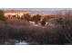 Houses with mountain view in the background and shrubbery in foreground at 12467 Topaz Vista Way, Castle Pines, CO 80108