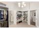 Expansive walk-in closet with extensive shelving and hanging space, plus a dressing area and natural light at 12467 Topaz Vista Way, Castle Pines, CO 80108