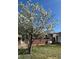 Charming front yard featuring a beautiful tree with white blossoms and a cozy swing set at 6903 W 52Nd Pl, Arvada, CO 80002