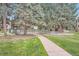 Well-maintained common green space featuring lush grass and mature trees at 2231 S Vaughn Way # 114B, Aurora, CO 80014