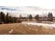 A medium shot of the parcel of land and surrounding trees and fence, under a cloudy sky at 434 S Newport Way, Denver, CO 80224