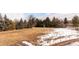 A long shot of the parcel of land and surrounding trees and fence, under a cloudy sky at 434 S Newport Way, Denver, CO 80224