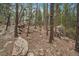 Rocky and hilly backyard with scattered trees offers a natural landscape for outdoor activities and exploration at 3065 Piney Ridge Rd, Evergreen, CO 80439