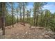 Hilly backyard offers privacy and a natural landscape for outdoor activities and exploration at 3065 Piney Ridge Rd, Evergreen, CO 80439