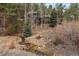 Secluded property with mature trees and a tranquil creek flowing through the landscape at 3065 Piney Ridge Rd, Evergreen, CO 80439