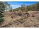 Picturesque creek with stone accents and lush greenery enhancing the natural beauty of the property at 3065 Piney Ridge Rd, Evergreen, CO 80439