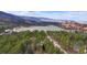 Scenic aerial view featuring trees, mountains, and open fields around the home at 4966 Delaware Dr, Larkspur, CO 80118