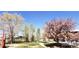 Large backyard featuring mature trees, lawn and walking path with an outbuilding in the background at 16659 County Road 4, Brighton, CO 80603