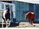 Exterior shot of a trailer and horses behind a weathered shed, adding character at 16659 County Road 4, Brighton, CO 80603
