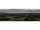 Panoramic aerial view showcasing a lush green landscape with homes nestled among mature trees at 5653 Yank St, Arvada, CO 80002