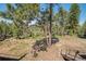 Picturesque backyard with mature trees and landscaping, offering serene views from the deck at 7845 Armadillo Trl, Evergreen, CO 80439