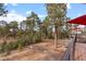 Large backyard with mountain views and trees at 7845 Armadillo Trl, Evergreen, CO 80439