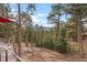 Scenic backyard with mountain views and tall trees at 7845 Armadillo Trl, Evergreen, CO 80439
