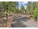 Winding driveway leading to a secluded home, surrounded by lush greenery and mature trees at 7845 Armadillo Trl, Evergreen, CO 80439