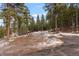 Driveway leading through snowy forest to home at 7845 Armadillo Trl, Evergreen, CO 80439