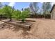 Backyard featuring raised garden beds and mature trees on a sunny day at 661 Tennyson St, Denver, CO 80204