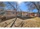 Back of house with a covered patio that offers a shaded outdoor space and yard with mature trees at 12843 W Jewell Cir, Lakewood, CO 80228