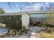 Backyard shed with ivy and stone pathway at 3044 Eudora St, Denver, CO 80207