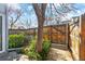 Cozy backyard setting featuring privacy fence and mature trees, offering a tranquil outdoor space at 6960 S Knolls Way, Centennial, CO 80122