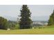 View of the golf course with a lake, green grass, and a roller coaster in the distance at 4353 Wolff St, Denver, CO 80212