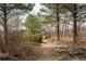 Scenic path leading through a wooded backyard area at 44626 Lariat Trl, Elizabeth, CO 80107