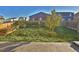 Lush backyard features healthy lawn and trees offering shade and privacy at 1908 Homestead Dr, Fort Lupton, CO 80621
