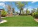 Spacious backyard with lush green grass, a playground, and storage shed at 3040 S Dexter Way, Denver, CO 80222