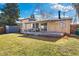 Large backyard featuring a well-maintained lawn, storage shed, and covered patio at 10699 W 9Th Pl, Lakewood, CO 80215
