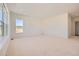 An expansive bedroom with plush carpeting and large windows filling the room with sunlight at 366 Agoseris Way, Castle Rock, CO 80104