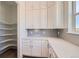 Bright pantry features white cabinetry, ample shelving, countertop, and a stylish backsplash at 366 Agoseris Way, Castle Rock, CO 80104