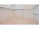 A spacious walk-in closet with white walls, carpeted floors, and metal shelving and racks at 366 Agoseris Way, Castle Rock, CO 80104