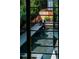 View through window of modern backyard pool with lush landscaping at 2627 W 40Th Ave, Denver, CO 80211